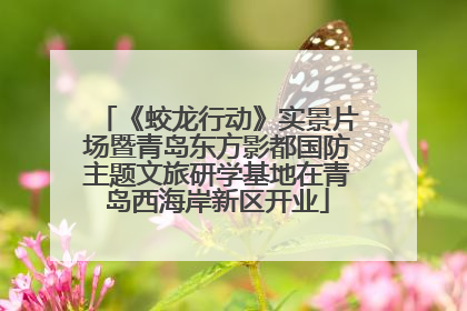 《蛟龙行动》实景片场暨青岛东方影都国防主题文旅研学基地在青岛西海岸新区开业