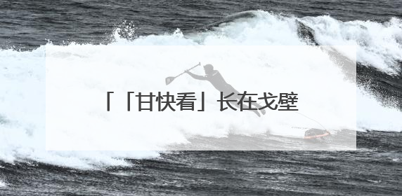 「甘快看」长在戈壁大漠的绿色蔬菜38小时直达粤港澳餐桌