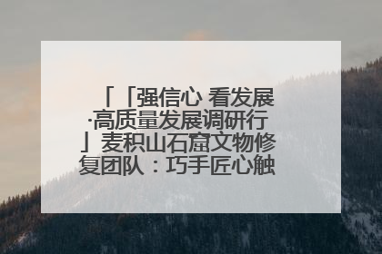 「强信心 看发展·高质量发展调研行」麦积山石窟文物修复团队：巧手匠心触摸“光阴的故事”