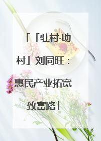 「驻村·助村」刘同旺：惠民产业拓宽致富路