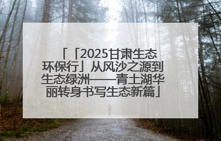 「2025甘肃生态环保行」从风沙之源到生态绿洲——青土湖华丽转身书写生态新篇
