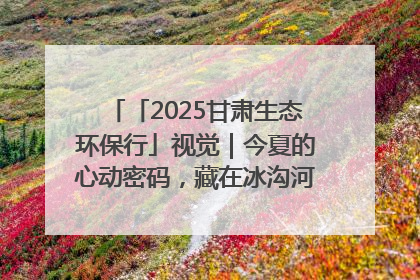 「2025甘肃生态环保行」视觉｜今夏的心动密码，藏在冰沟河的潋滟波光里