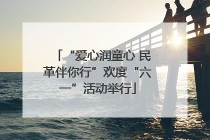 “爱心润童心 民革伴你行”欢度“六一”活动举行