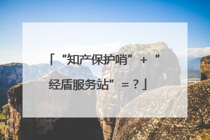 “知产保护哨”+“经盾服务站”=？