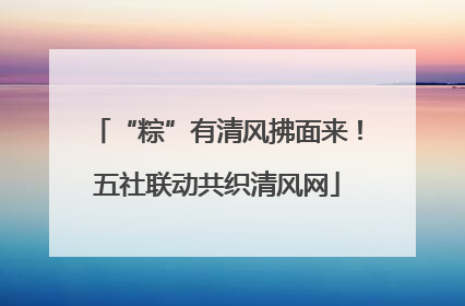 “粽”有清风拂面来！五社联动共织清风网