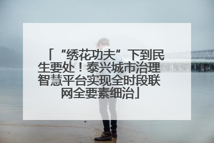 “绣花功夫”下到民生要处！泰兴城市治理智慧平台实现全时段联网全要素细治