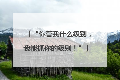 “你管我什么级别，我能抓你的级别！”