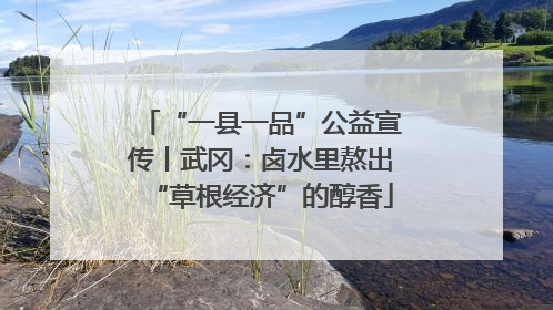 “一县一品”公益宣传丨武冈：卤水里熬出“草根经济”的醇香