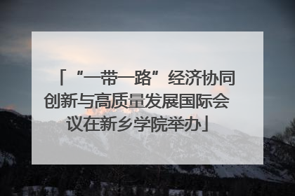“一带一路”经济协同创新与高质量发展国际会议在新乡学院举办