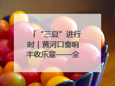 “三夏”进行时｜黄河口奏响丰收乐章——全市小麦进入大面积收获高峰期