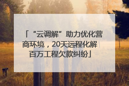 “云调解”助力优化营商环境，20天远程化解百万工程欠款纠纷