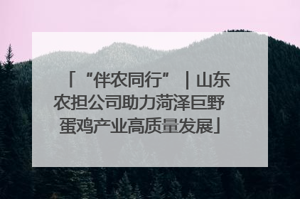 “伴农同行”｜山东农担公司助力菏泽巨野蛋鸡产业高质量发展
