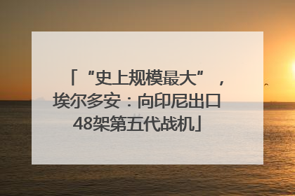 “史上规模最大”，埃尔多安：向印尼出口48架第五代战机
