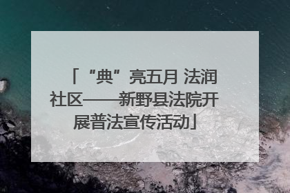 “典”亮五月 法润社区——新野县法院开展普法宣传活动
