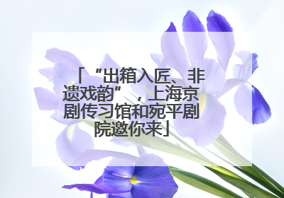“出箱入匠、非遗戏韵”，上海京剧传习馆和宛平剧院邀你来