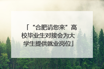 “合肥请您来”高校毕业生对接会为大学生提供就业岗位