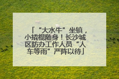 “大水牛”坐镇，小撬棍随身！长沙城区防办工作人员“人车等雨”严阵以待