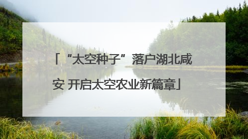 “太空种子”落户湖北咸安 开启太空农业新篇章