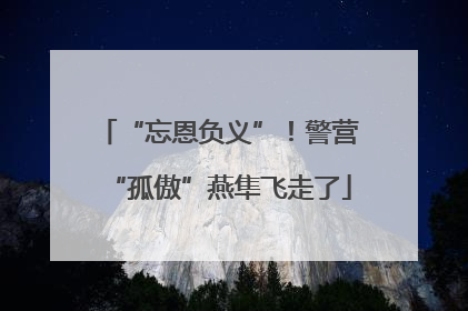 “忘恩负义”！警营“孤傲”燕隼飞走了