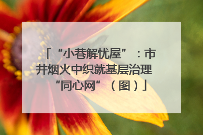 “小巷解忧屋”：市井烟火中织就基层治理“同心网”（图）
