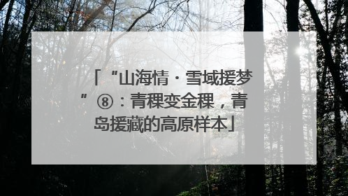 “山海情・雪域援梦”⑧：青稞变金稞，青岛援藏的高原样本