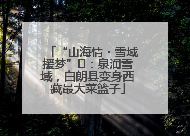“山海情・雪域援梦”⑪：泉润雪域，白朗县变身西藏最大菜篮子