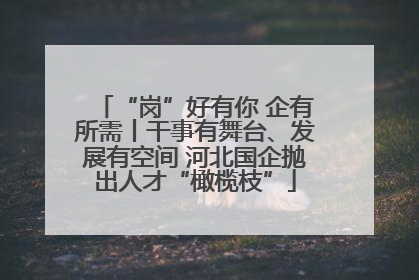 “岗”好有你 企有所需丨干事有舞台、发展有空间 河北国企抛出人才“橄榄枝”