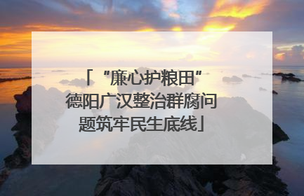 “廉心护粮田” 德阳广汉整治群腐问题筑牢民生底线