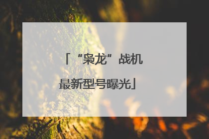 “枭龙”战机最新型号曝光
