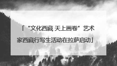 “文化西藏 天上画卷”艺术家西藏行写生活动在拉萨启动