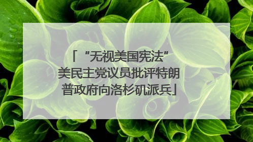 “无视美国宪法” 美民主党议员批评特朗普政府向洛杉矶派兵