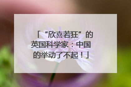 “欣喜若狂”的英国科学家：中国的举动了不起！