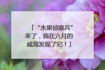 “水果侦察兵”来了，我在六月的威海发现了它！
