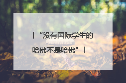 “没有国际学生的哈佛不是哈佛”