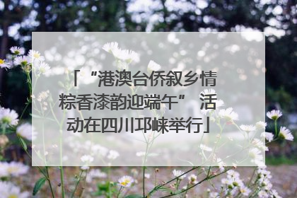 “港澳台侨叙乡情 粽香漆韵迎端午” 活动在四川邛崃举行