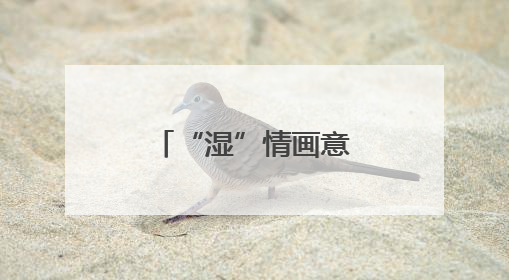 “湿”情画意鸟翩跹——黄河口候鸟栖息地再绘生态新画卷