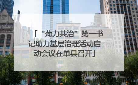 “菏力共治”第一书记助力基层治理活动启动会议在单县召开