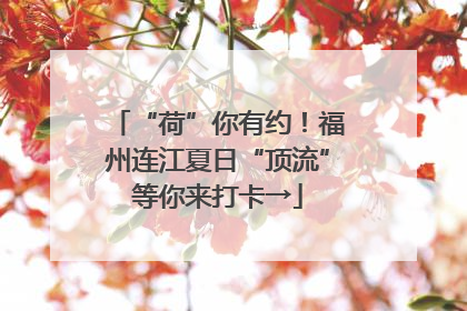 “荷”你有约！福州连江夏日“顶流”等你来打卡→