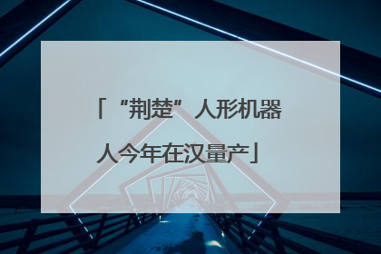 “荆楚”人形机器人今年在汉量产