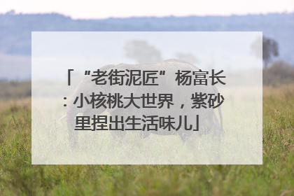 “老街泥匠”杨富长：小核桃大世界，紫砂里捏出生活味儿
