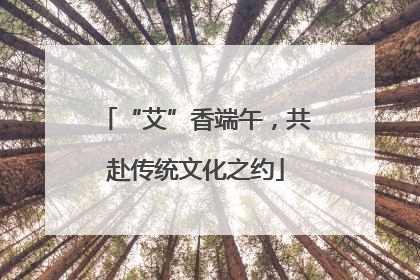 “艾”香端午，共赴传统文化之约