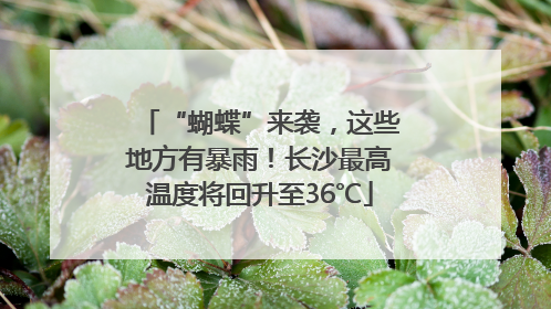 “蝴蝶”来袭，这些地方有暴雨！长沙最高温度将回升至36℃