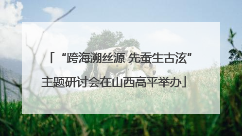 “跨海溯丝源 先蚕生古泫”主题研讨会在山西高平举办