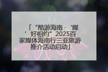 “酷游海南 ·‘媒’好相约”2025百家媒体海南行三亚旅游推介活动启动