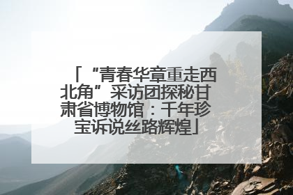 “青春华章重走西北角”采访团探秘甘肃省博物馆：千年珍宝诉说丝路辉煌