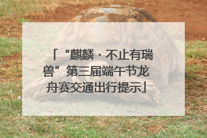 “麒麟・不止有瑞兽”第三届端午节龙舟赛交通出行提示