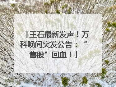 王石最新发声！万科晚间突发公告：“售股”回血！