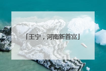 王宁，河南新首富
