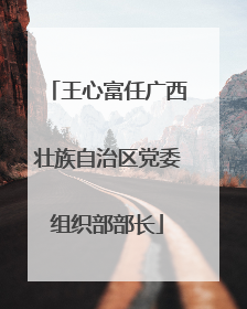 王心富任广西壮族自治区党委组织部部长
