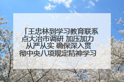 王忠林到学习教育联系点大冶市调研 加压加力 从严从实 确保深入贯彻中央八项规定精神学习教育取得实效